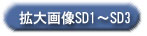 SD拡大画像