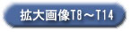 拡大画像T8～T14